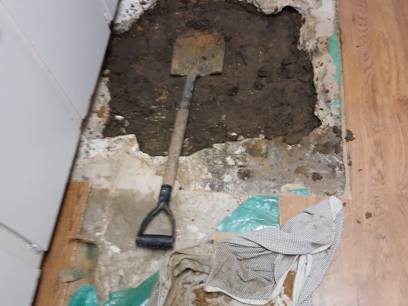 Tree roots cleared from a drain line